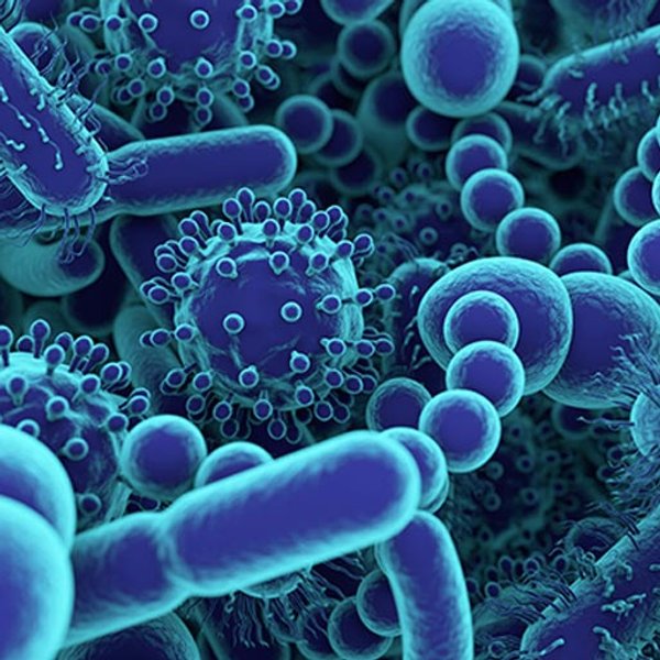 Artigo sobre microbioma - imagem principal