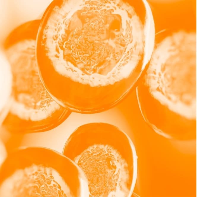 Phe-resorcinol ingredient